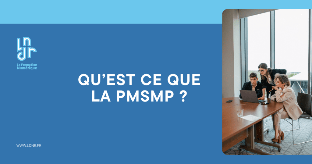 Période de Mise en Situation en Milieu Professionnel (PMSMP)