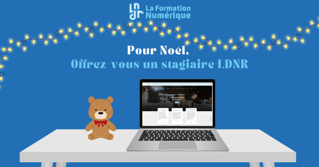 Pour Noël, offrez-vous un stagiaire LDNR !