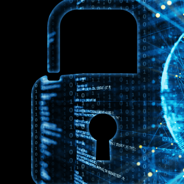 Fondamentaux de cybersécurité pour l’entreprise Description